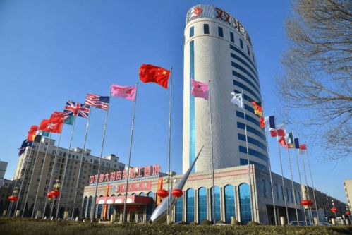 河南民企新標桿 百墩實業總資產突破1200億元，力壓雙匯中瑞登頂